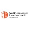 OIE Webinar: Preparing for ASF