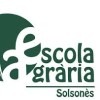 Professionalitzaci&oacute; del sector porc&iacute; - Aplazado