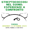 Streptococcosi nel suino: esperienze a confronto