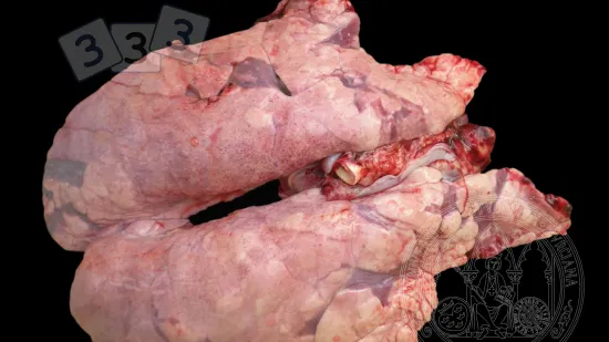 Semana del 28-nov-2025