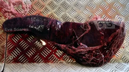 Woche vom 22-Okt-2025