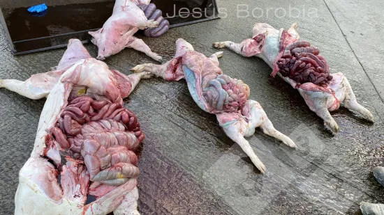 Woche vom 10-Sep-2025