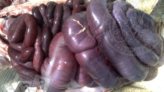 Semana del 10-oct-2025