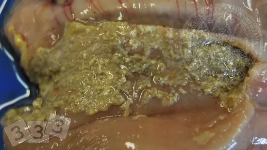 Semana del 31-oct-2025