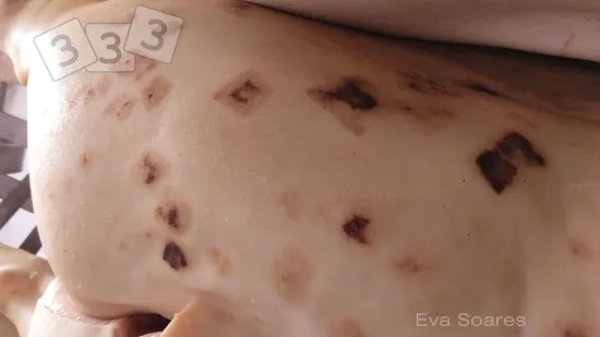 Semana del 28-nov-2025