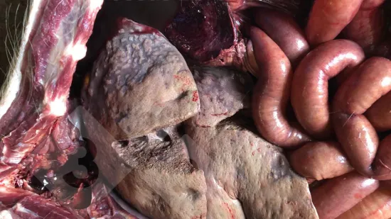 Tuần của 22-Th8-2025