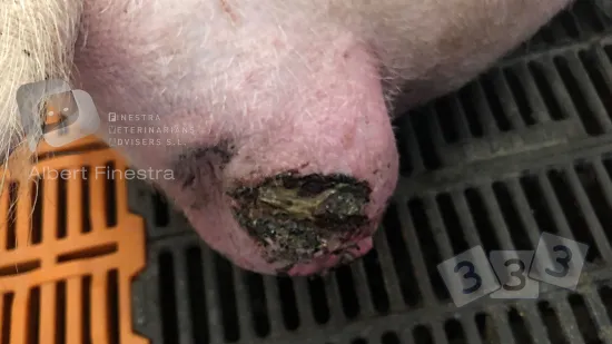 Tuần của 09-Th2-2024