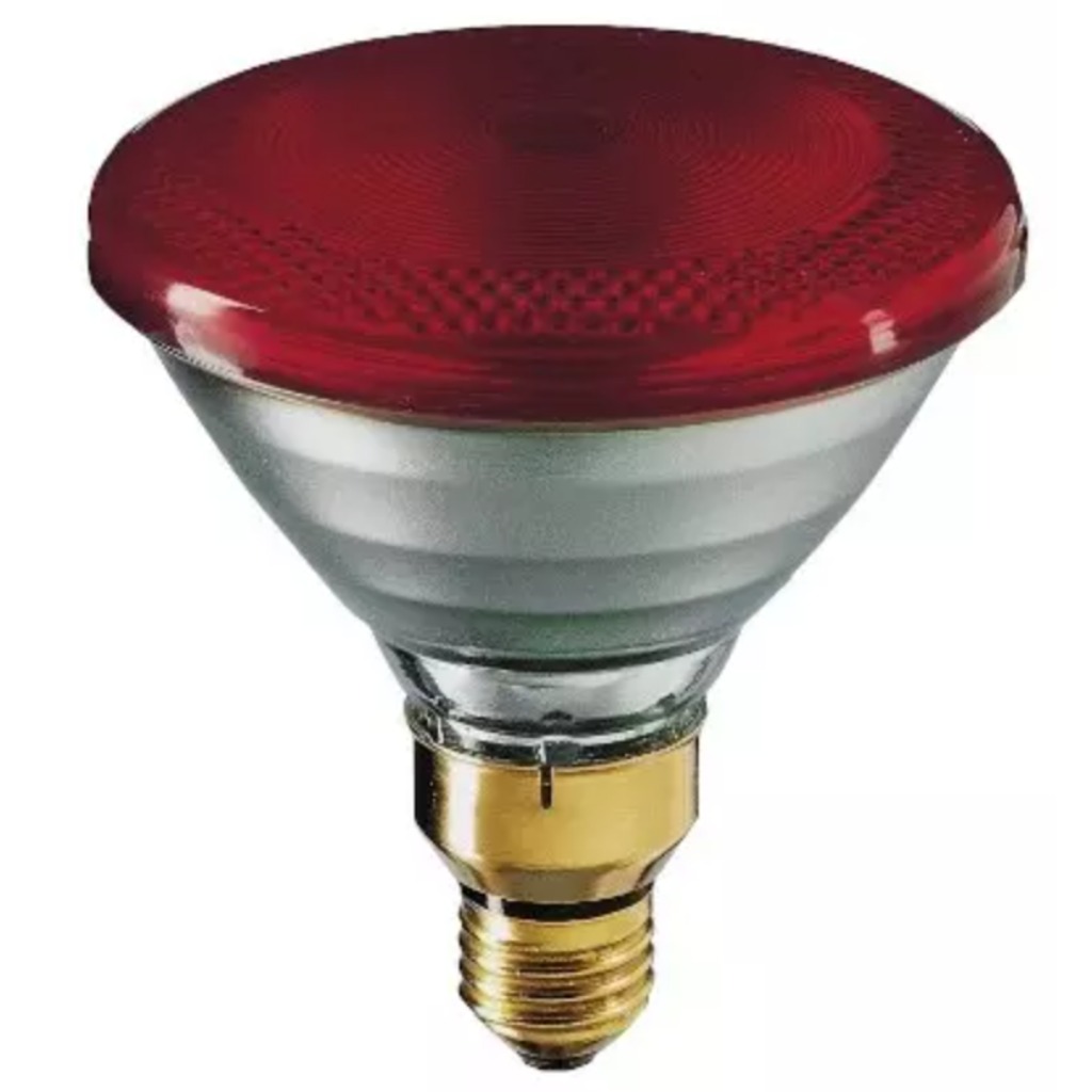 Lâmpada infravermelha Philips PAR 175 Watts 1 unidade