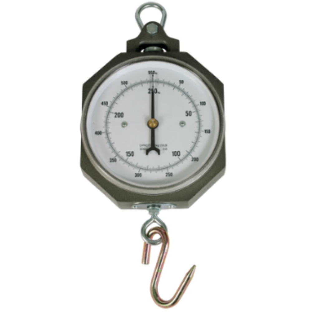 Dynamometer 250 kg mit 1000 g Teilung