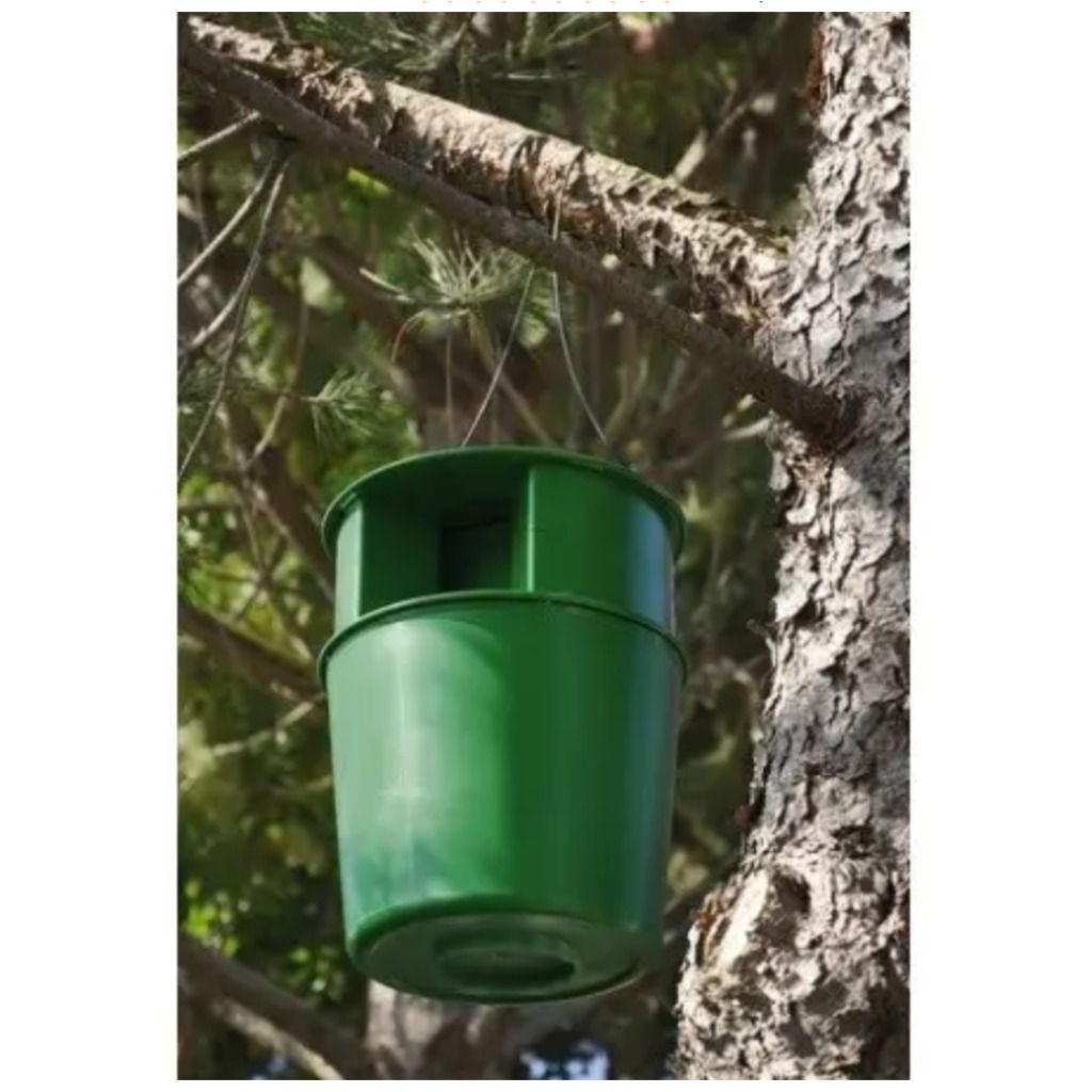 Armadilha para traças processionárias de pinheiro PROCEREX® Cube