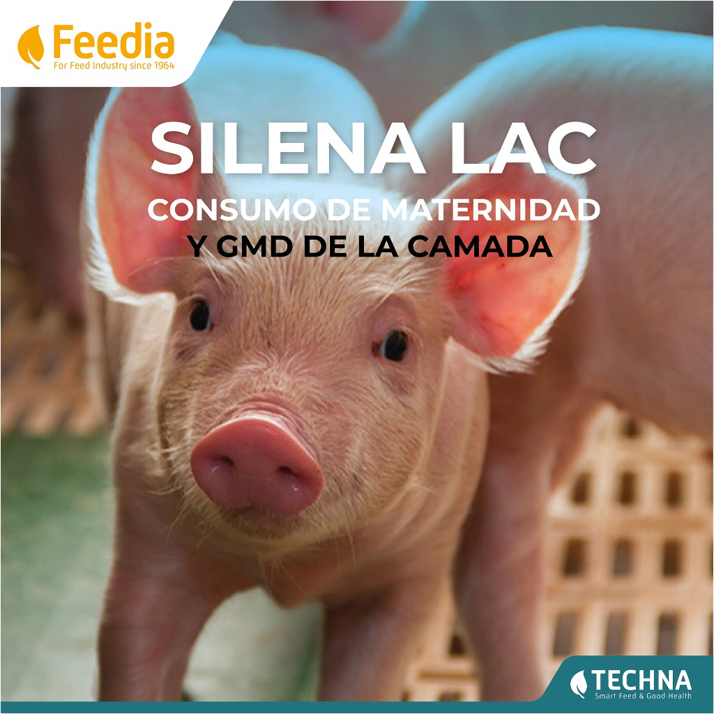 SILENA LAC