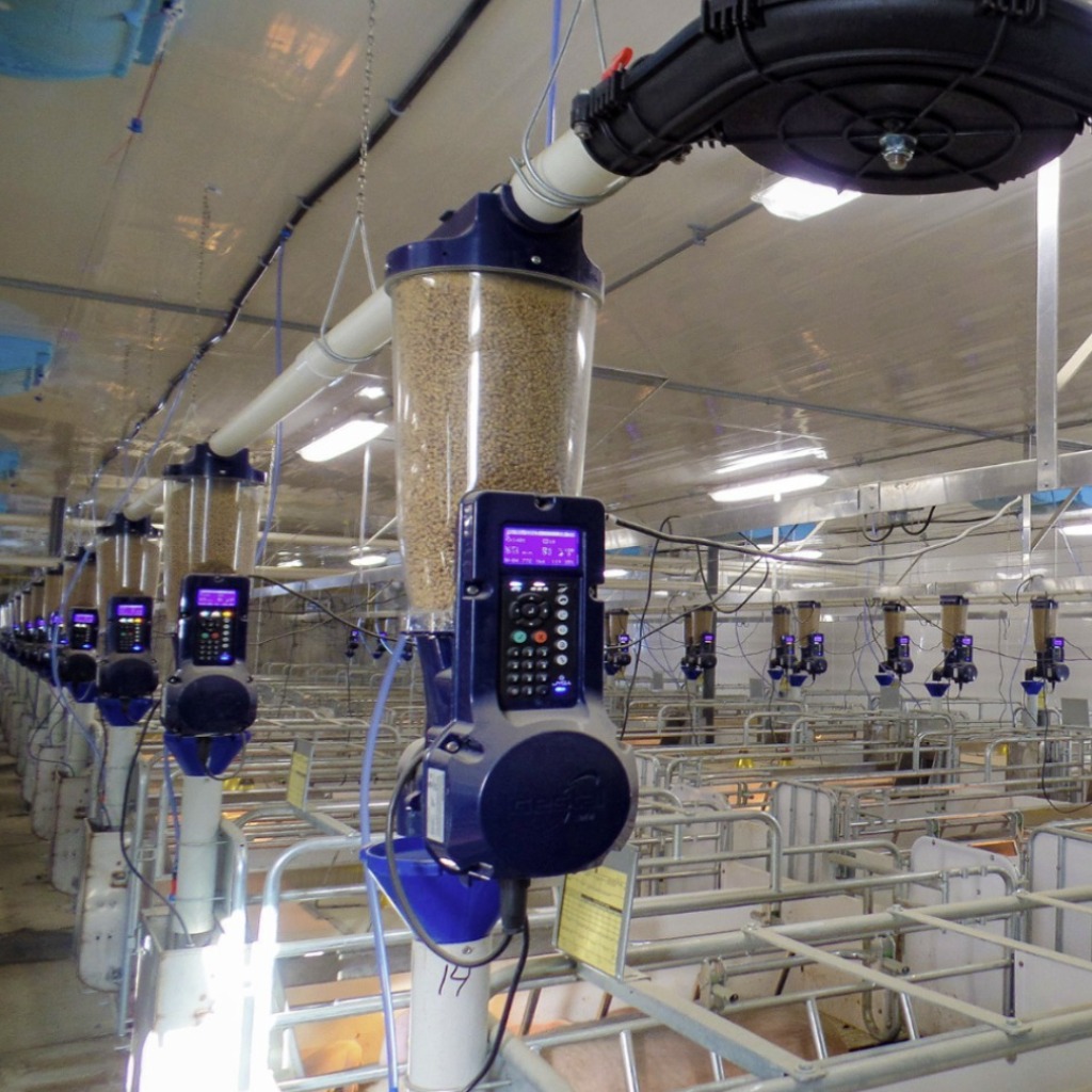 GESTAL Solo+: Computerized Feeding System for Farrowing Sows