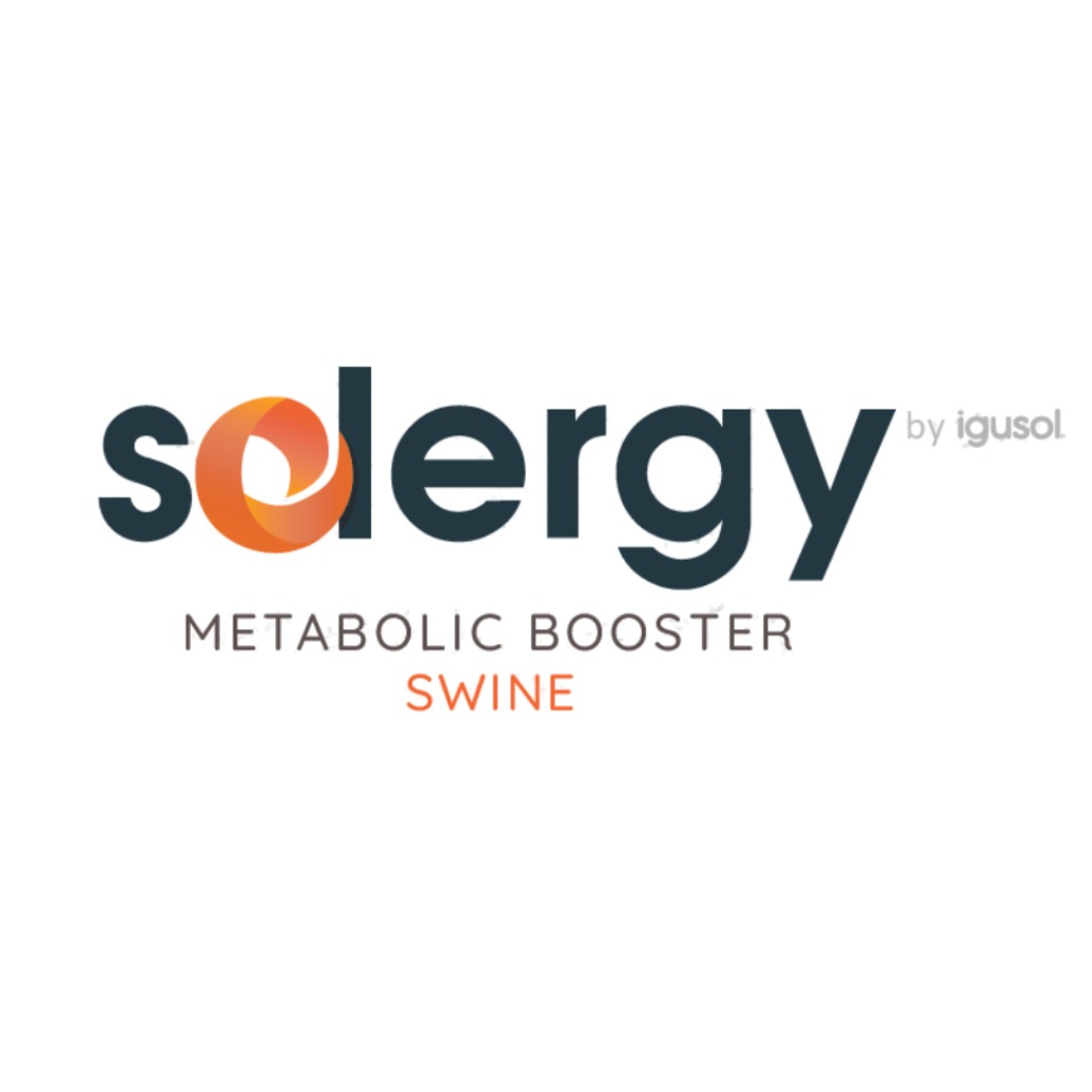 SOLERGY
