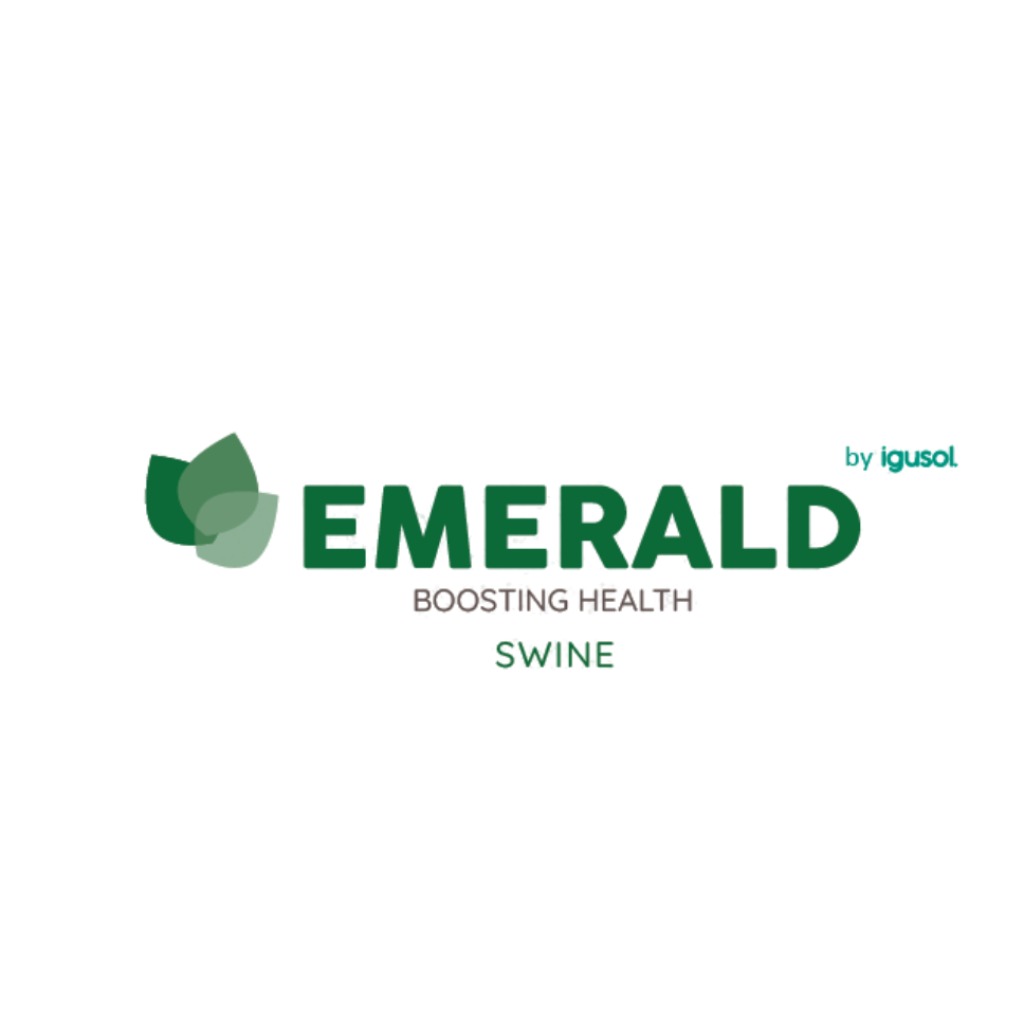 EMERALD