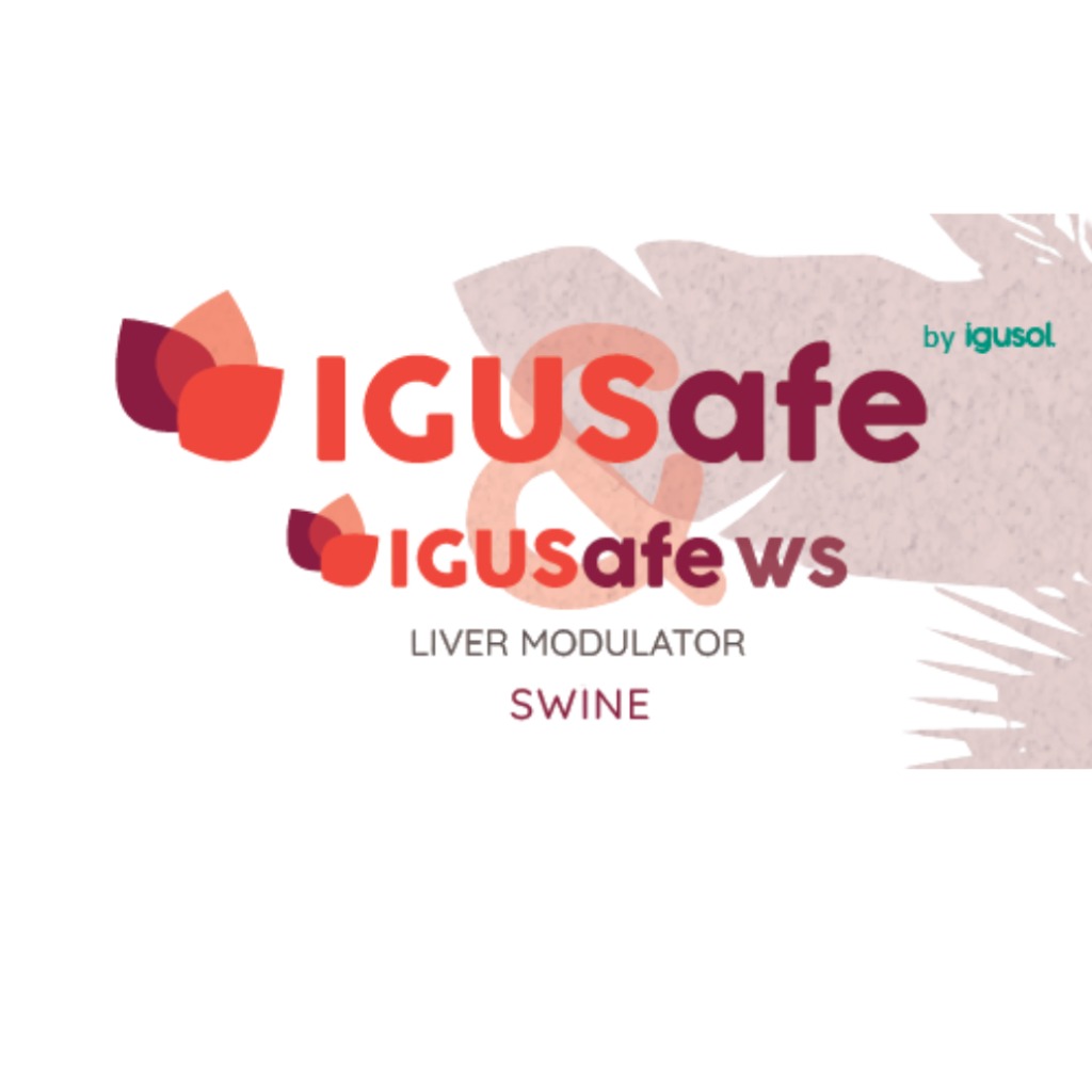 IGUSAFE
