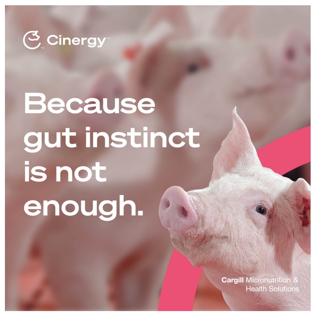 Cinergy™ Protect