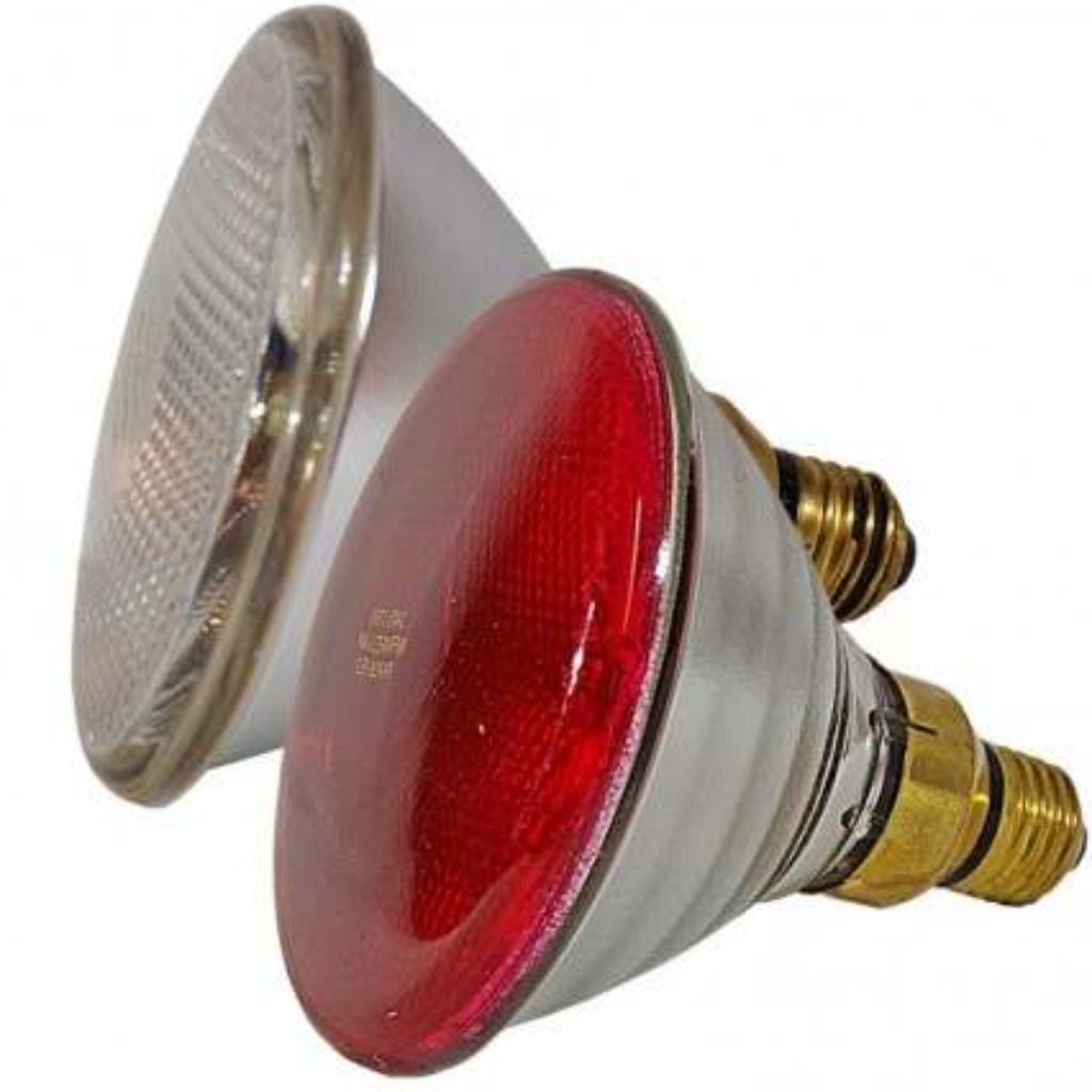 Ampoule chauffante 333 175 W blanc-rouge PAR38