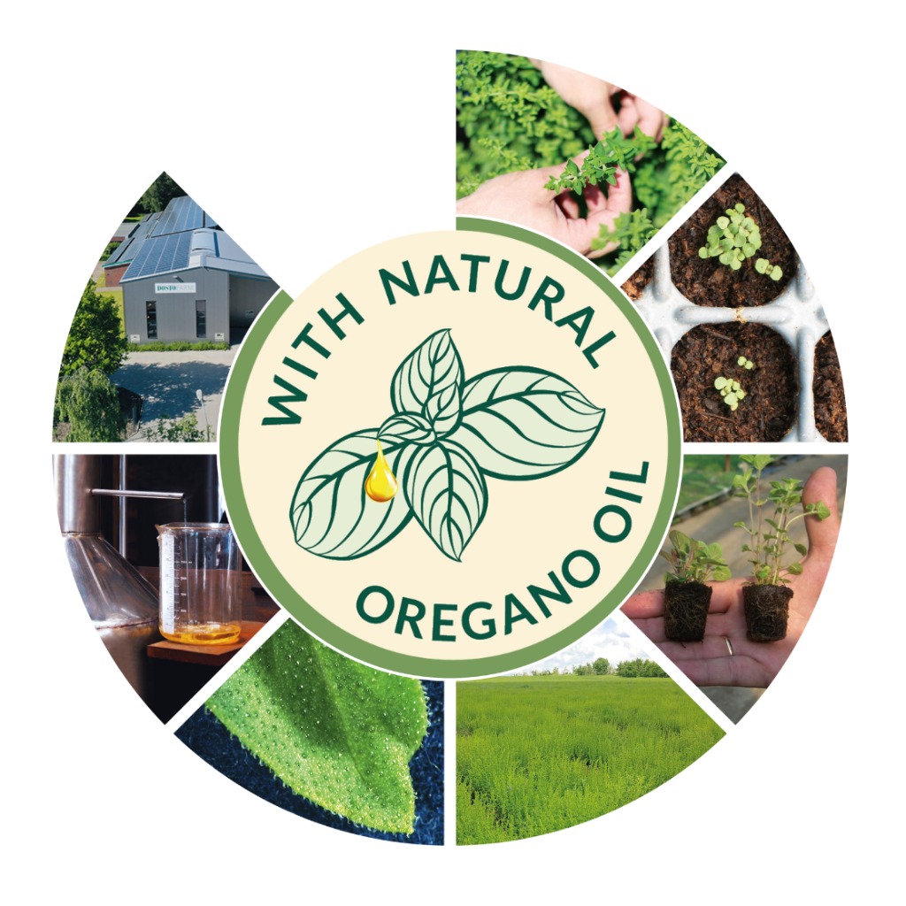 Dosto® Orégano | Premezcla y aditivos complementarios