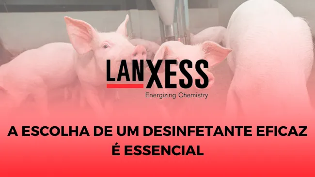 Limpeza e desinfecção de instalações suínas como estratégia na prevenção de doenças
