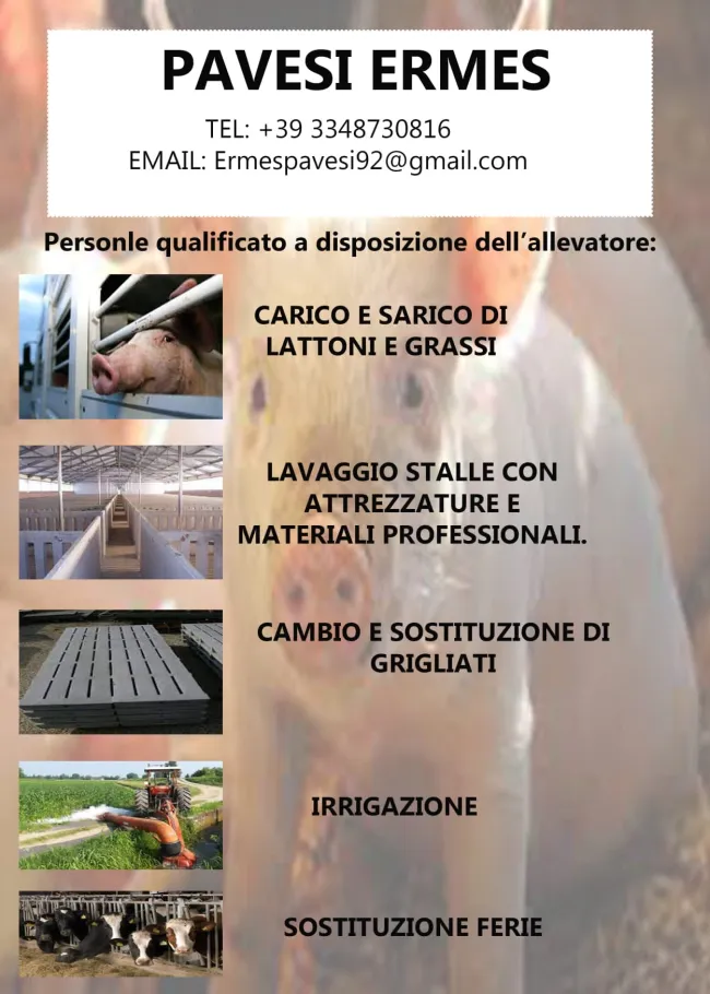 Nuovi servizi per i nostri clienti
