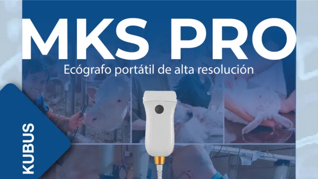 Ecógrafo MKS Pro: ultrasonido de alta resolución