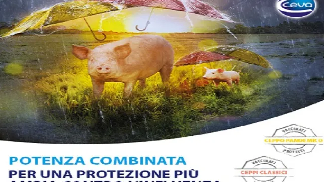 Controllo dell’influenza: perché è importante👇