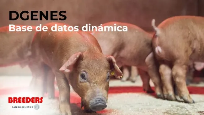DGENES, base de datos dinámica
