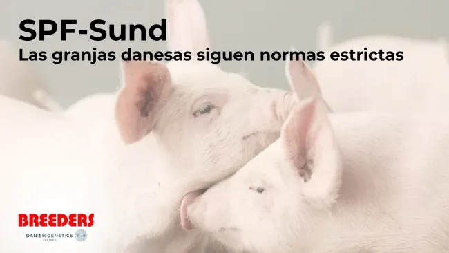 Las granjas danesas siguen normas estrictas