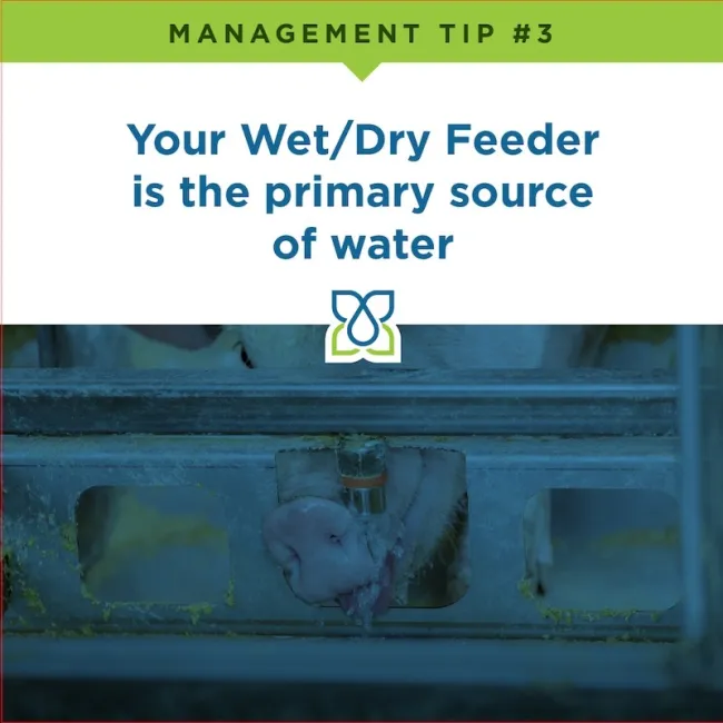When working with wet/dry feeders, the water nipples in the feeder MUS...