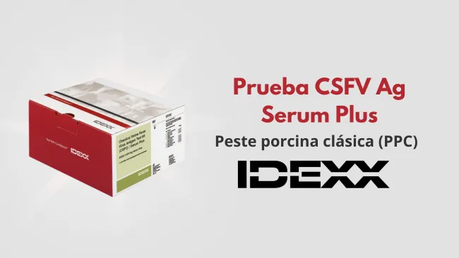 🐽 La Prueba IDEXX CSFV (PESTE PORCINA CLÁSICA) Ag Serum Plus es un...