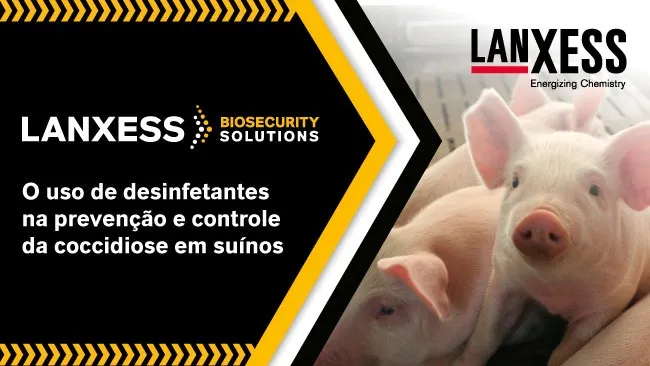 Adoção de boas práticas de aplicação e a escolha de produtos adequados contribui para a saúde e o desempenho do plantel 