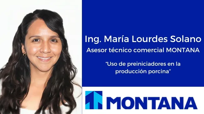 Optimización de la recría: Impacto de los preiniciadores y Creep Feeding en la salud y crecimiento del lechón