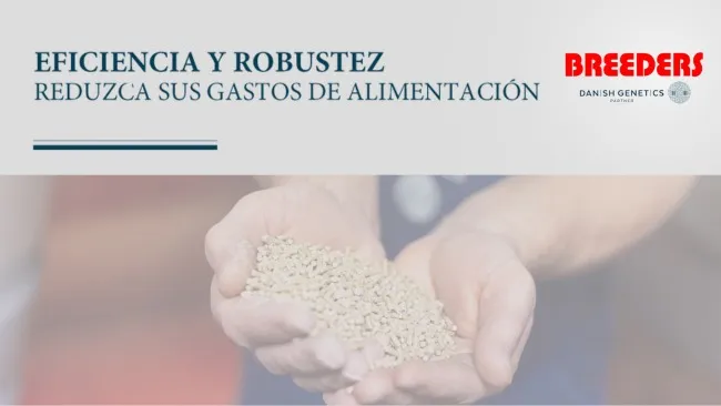EFICIENCIA Y ROBUSTEZ