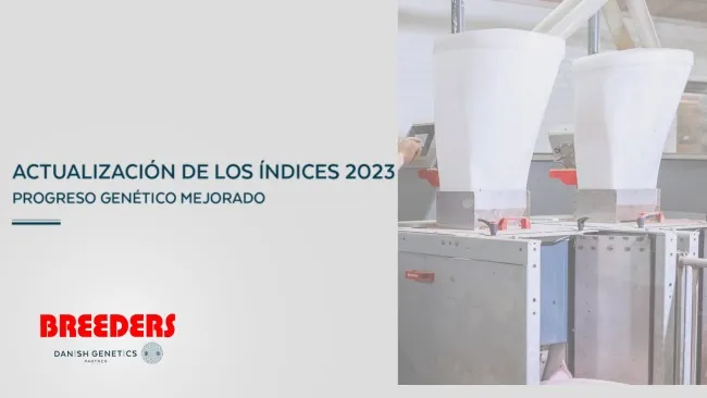 ACTUALIZACIÓN DE LOS ÍNDICES 2023