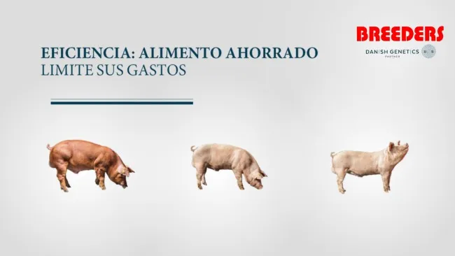 Eficiencia: Alimento ahorrado
