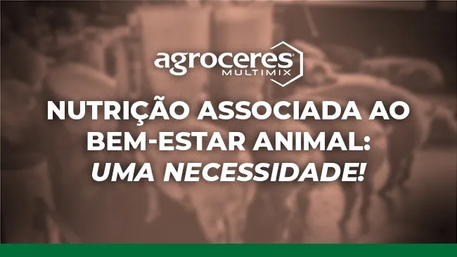 Não há produtividade sem atendimento a práticas de bem-estar animal