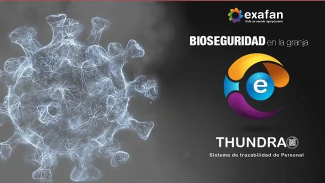 Thundra: revolucionando la gestión de granjas con tecnología de punta