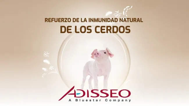 Garantiza el máximo rendimiento mediante el refuerzo de la inmunidad natural de los cerdos