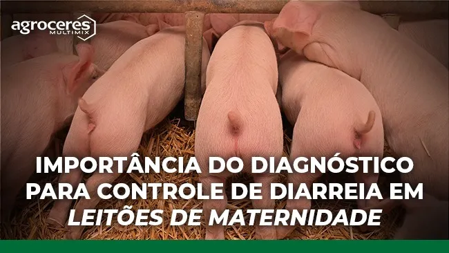 Ações direcionadas e eficazes para controlar e prevenir diarreia na maternidade