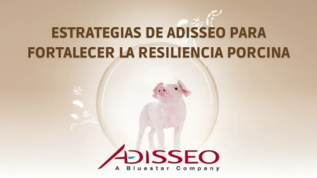 Fortaleciendo la barrera intestinal como primera línea de defensa