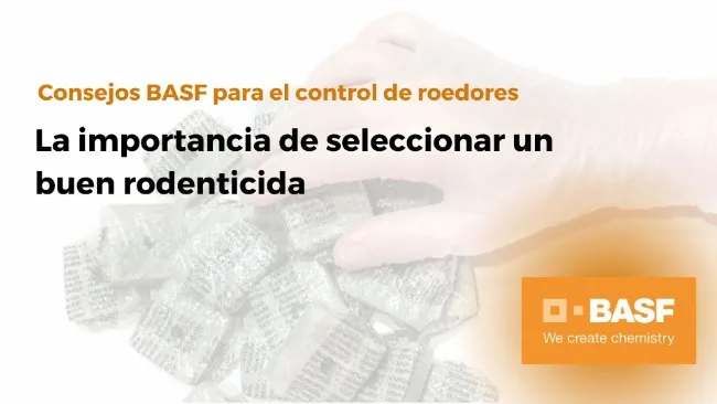 🐭 Consejos BASF para el control de roedores
