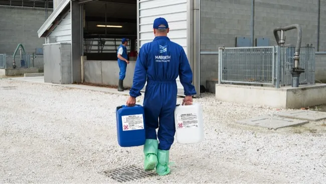 Linee guida pratiche per le operazioni di pulizia e disinfezione negli allevamenti 🚚💧