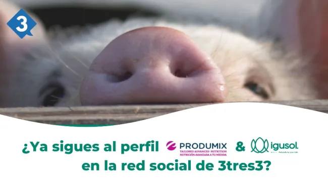 No te pierdas las últimas novedades sobre 𝗣𝗿𝗼𝗱𝘂𝗺�...
