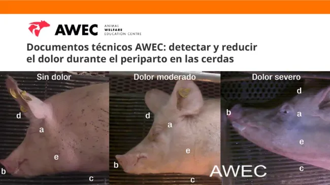 Poder identificar los partos especialmente complicados y dolorosos nos...