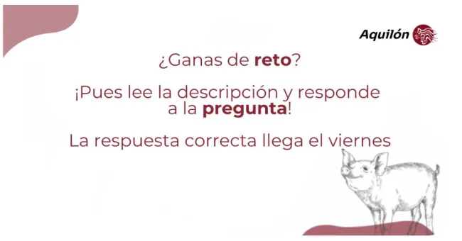 ¡Lunes de reto!