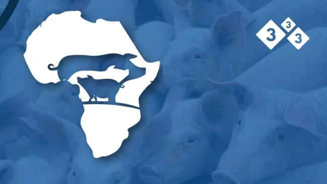 Read this interesting article about Swine Industry in Africa!