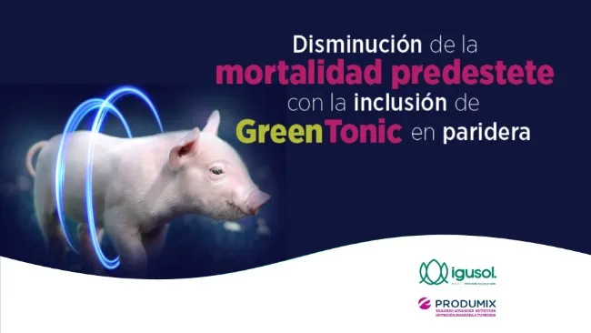 Disminución de la mortalidad predestete con la inclusión de GreenTonic en paridera