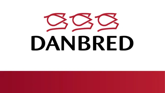 𝗘𝗫𝗖𝗟𝗨𝗦𝗜𝗩𝗘 W𝗘𝗕𝗜𝗡𝗔𝗥