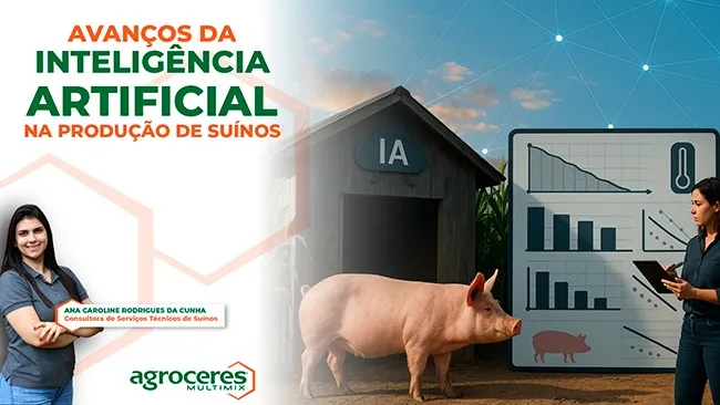 Inteligência Artificial na análise de dados torna suinocultura mais eficiente e precisa