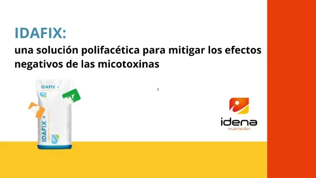 🐽Descubra cómo 𝗜𝗗𝗔𝗙𝗜𝗫 puede ser la clave para pr...